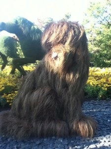 Le chien de l'homme qui plantait des arbres