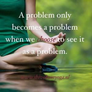 11902298_10153113200772621_5046729624572805114_n